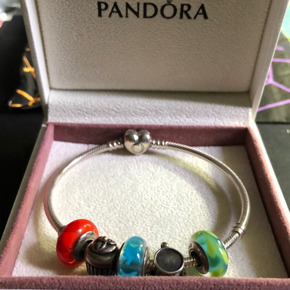 Pandora Charm Bracelet